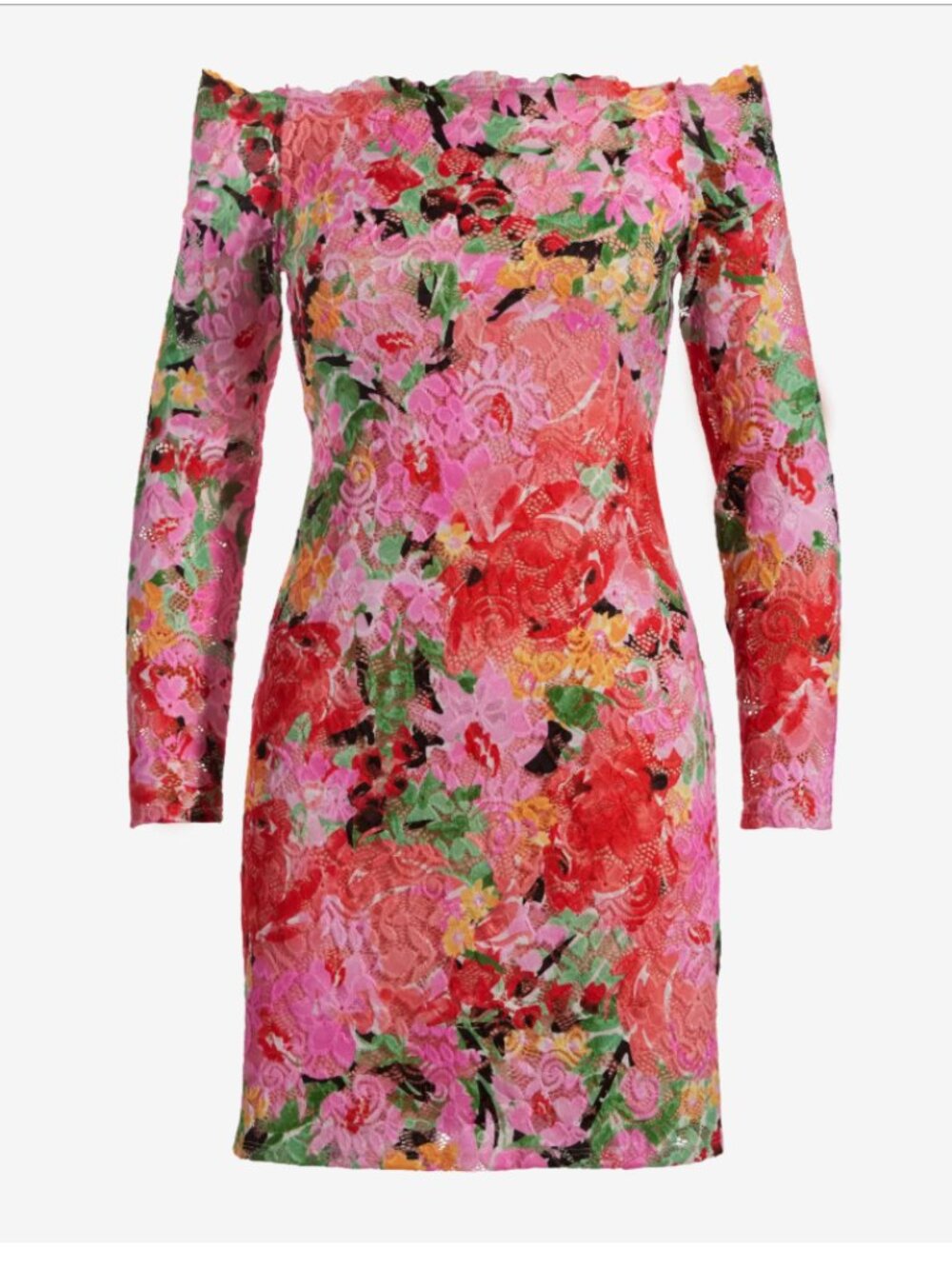 Boston Proper Shoulder Skimming Floral Lace Dress